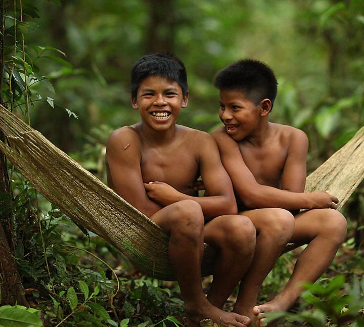 PROYECTOS HUMANITARIOS Y DE PROTECCION DEL MEDIO AMBIENTE